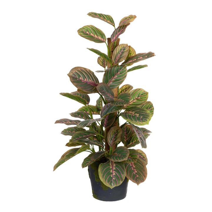 Glamorous Fusion Peacock Bush 73cm Artificial Plant Flower Arrangement Decorative On Pole