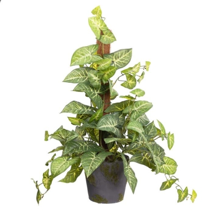 Glamorous Fusion Syngonium 73cm Artificial Plant Flower Arrangement Decorative On Pole