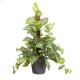 Glamorous Fusion Syngonium 73cm Artificial Plant Flower Arrangement Decorative On Pole