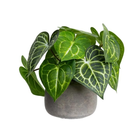 Glamorous Fusion Green Caladium 30cm Artificial Plant Flower Arrangement Decorative In Pot