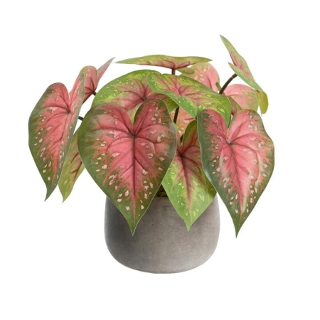 Glamorous Fusion Red Caladium 30cm Artificial Plant Flower Arrangement Decorative In Pot