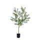 Glamorous Fusion Olive 152cm Artificial Plant Decorative Tree