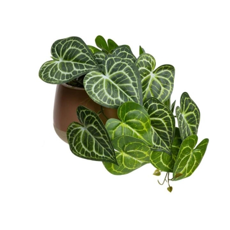 Glamorous Fusion Green Caladium 35cm Artificial Plant Flower Arrangement Decorative In Luxe Pot