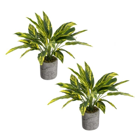 Glamorous Fusion Set Of 2 Tracedcantia Bush Artificial Plant Flower Arrangement Decorative In Pot