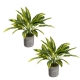 Glamorous Fusion Set Of 2 Tracedcantia Bush Artificial Plant Flower Arrangement Decorative In Pot