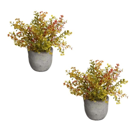 Glamorous Fusion Set Of 2 Shell Bush Artificial Plant Flower Arrangement Decorative In Pot