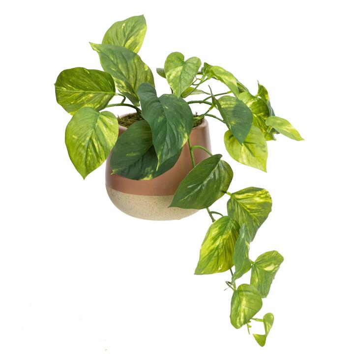 Glamorous Fusion Pothos 38cm Artificial Plant Flower Arrangement Decorative In Luxe Pot