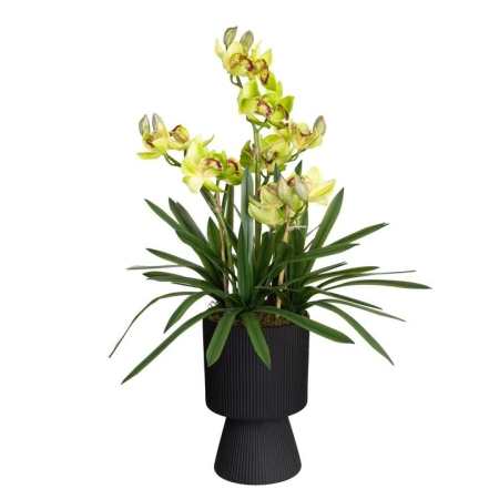 Glamorous Fusion Green Cymbidium 90cm Artificial Plant Flower Arrangement Decorative In Ripple Pot