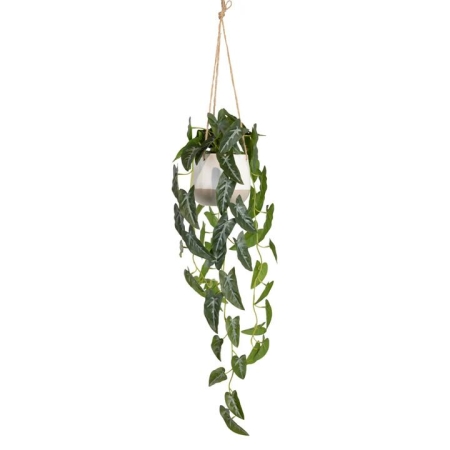 Glamorous Fusion Syngonium 105cm Artificial Plant Flower Arrangement Decorative In Hanging Planter