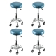 Levede 4x Barstool Swivel Salon Hairdressing