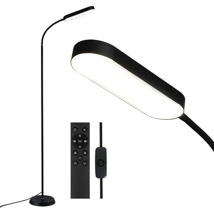 LED Floor Lamp with Remote Control & 4 Color Temperature Reading Living Room Bedroom Office