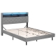 Bed Frame Queen Size LED Mattress Base Platform with Storage Shelf Hidden Storage Box Grey