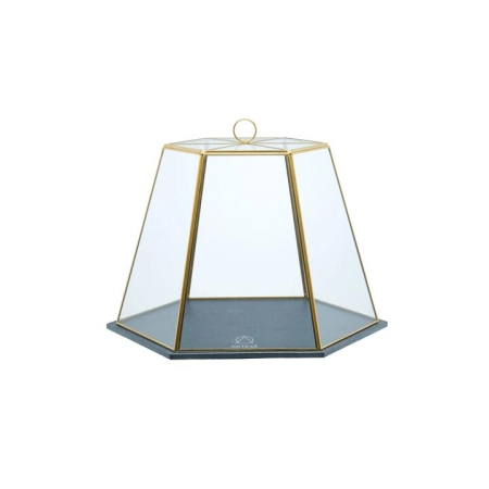 Artesa Serving Cloche