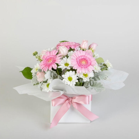 Gerbera & Daisy Chrysanthemum Mini Box | Interflora | Online Florist and Flower Delivery Across Australia