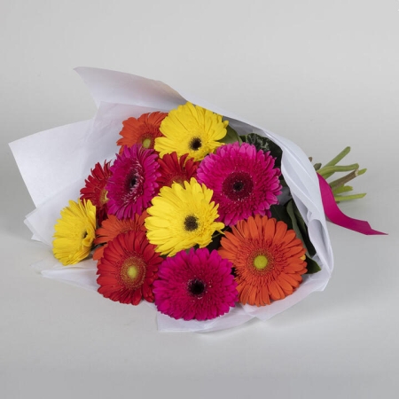 Assorted Gerbera Bouquet | Interflora | Online Florist and Flower Delivery Across Australia