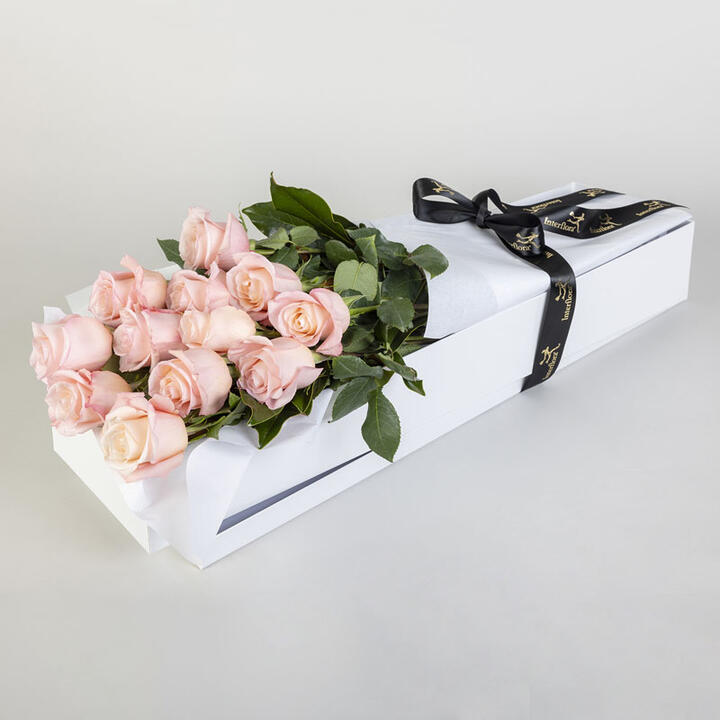 12 Pink Roses in Presentation Box | Interflora | Online Florist and Flower Delivery Across Australia