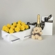 12 Yellow Roses in Presentation Box with Chocolates