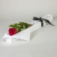 Single Red Rose in Presentation Box | Valentine's Day Flowers | Interflora | Online Florist and Flower Delivery Across Australia