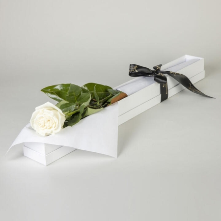 Single White Rose in Presentation Box | Interflora | Online Florist and Flower Delivery Across Australia
