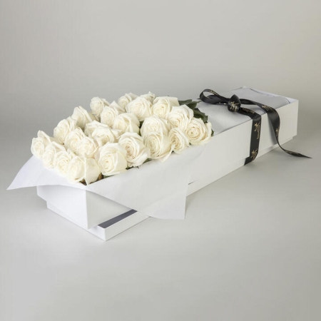 24 White Roses in Presentation Box | Interflora | Online Florist and Flower Delivery Across Australia