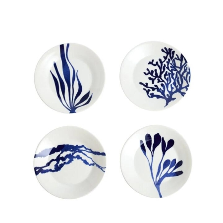 Royal Doulton Set of 4 Pacific Assorted Plates 16cm