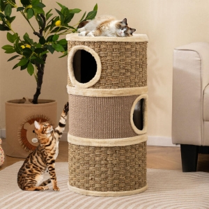 Cat Supplies
