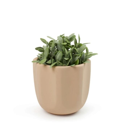 Salt & Pepper Zola Planter 17 x 16.5cm