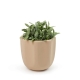 Salt & Pepper Zola Planter 17 x 16.5cm