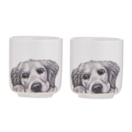 Ashdene Peeking Pups Golden Retriever Set of 2 Egg Cups