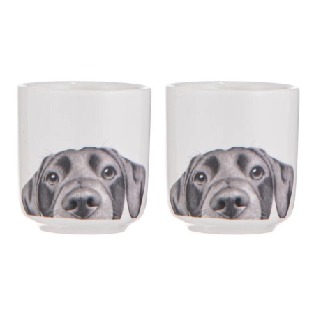 Ashdene Peeking Pups Labrador Set of 2 Egg Cups