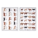 Ashdene Best In Breed Dairy Cow Set Of 2 Kitchen Towels