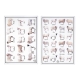 Ashdene Best In Breed Sheep Set Of 2 Kitchen Towels