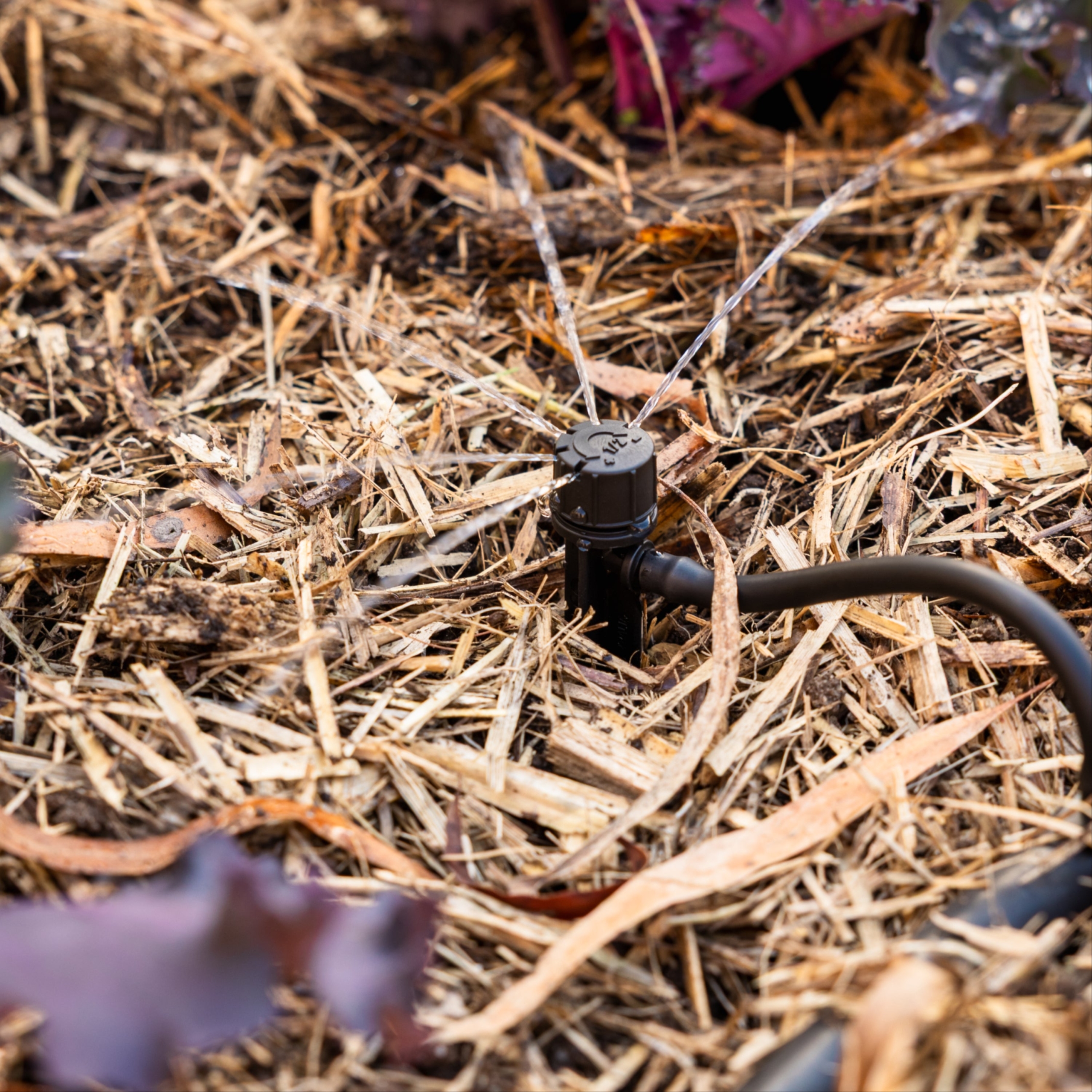 Water plants positioned along garden edges with the Hoselink Adjustable 180-degree Drip Spike. The half-circle outlet directs moisture to one side of the spike