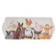 Ashdene Farmyard Faces 2 Sandwich Tray
