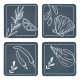 Ecology Feast Set of 4 Coasters