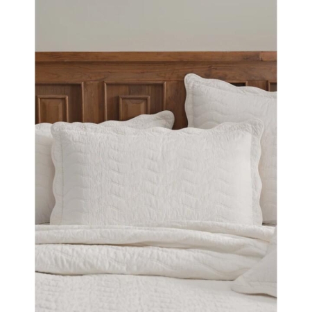 Private Collection Indiana Pillowcase Sham Ivory Standard Pair