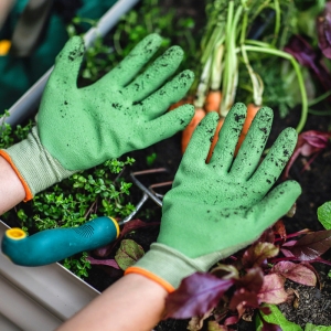 Protect hands during light planting