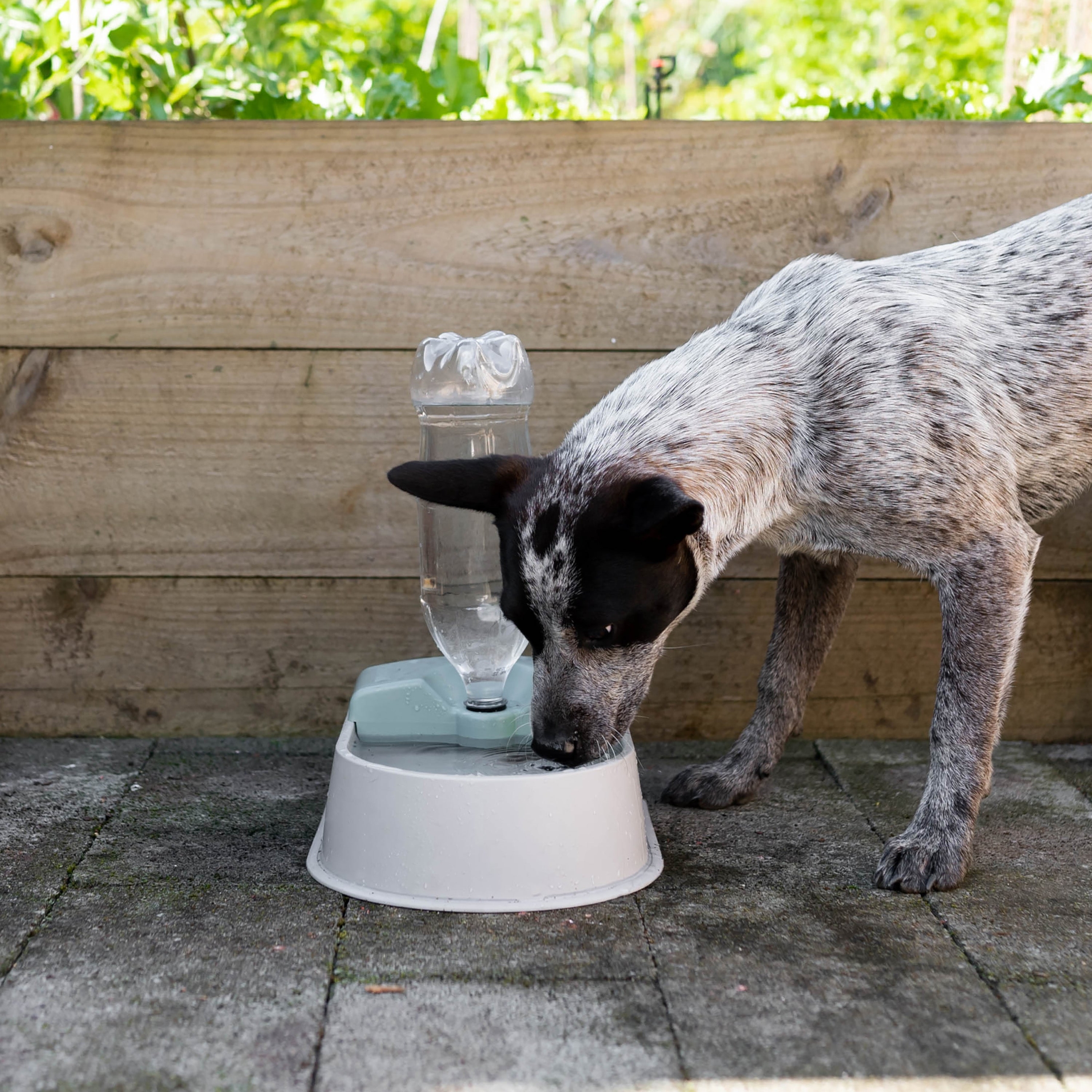 Provide pets with a continuously replenished outdoor water supply using the Hoselink Auto-fill Pet Bowl Bundle. The set includes the automatic water bowl