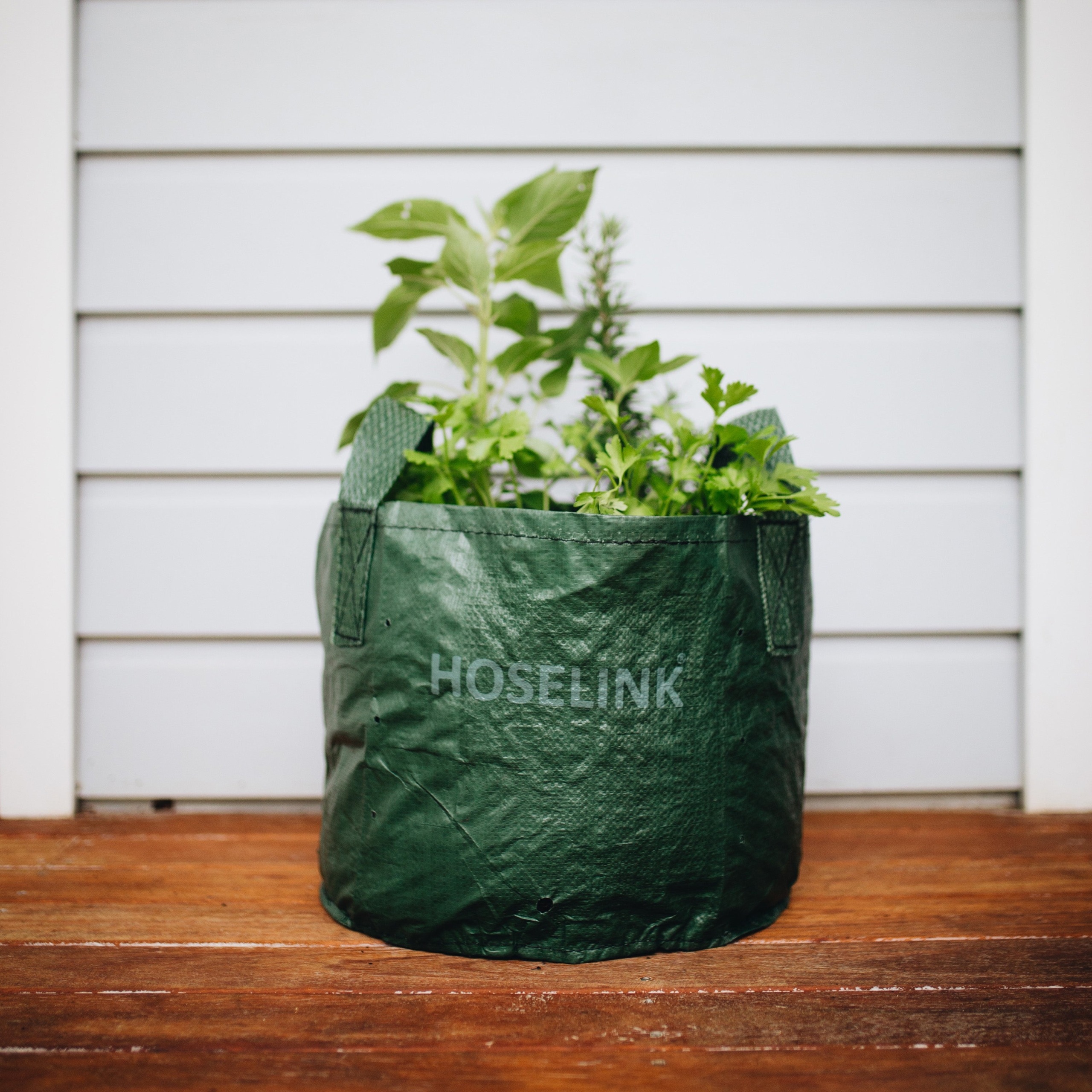 Grow vegetables
