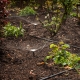 Create adjustable micro-spray coverage for garden beds with the Hoselink Adjustable Spray Irrigation Kit. The complete kit distributes water through poly pipe and individually adjustable spray points