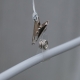 Hold Hoselink misting hose securely against a suitable mounting surface with the Misting System Installation Clip. The clip helps create a neat