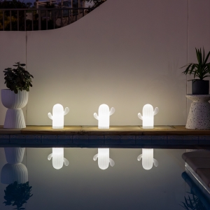 Add a colourful desert-inspired feature to a garden