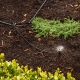 Run water from a 13mm irrigation main line to individual drippers and micro sprays with this 10m roll of 4mm Micro Tubing. The flexible narrow tube is used for short branch lines to pots
