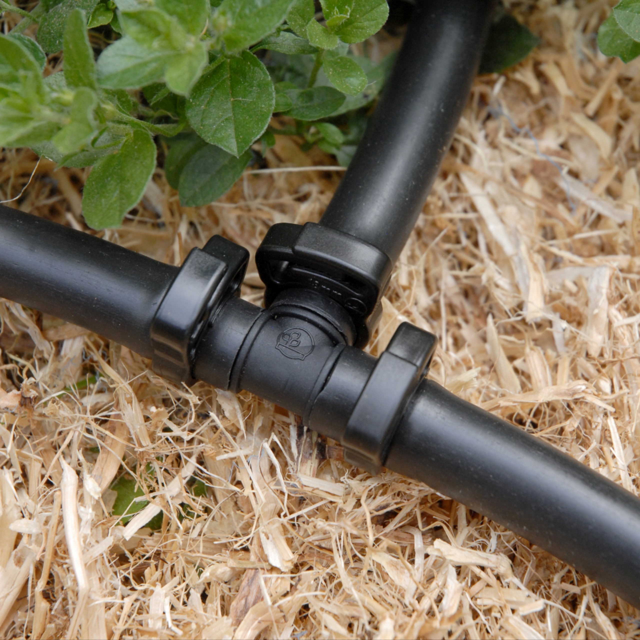 Branch a 13mm irrigation main line in two directions with the Hoselink 13mm Tee. The barbed T-shaped fitting joins three lengths of compatible poly pipe and is useful for dividing a system across separate garden beds or rows. Secure each connection with the specified ratchet clamps and avoid sharp pipe bends near the joint. This listing is for an individual tee and does not include pipe or clamps.