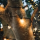 Extend a compatible Hoselink FIESTA warm white solar festoon-light system with this 25-bulb extension set. The additional cable and bulbs increase illuminated coverage across pergolas