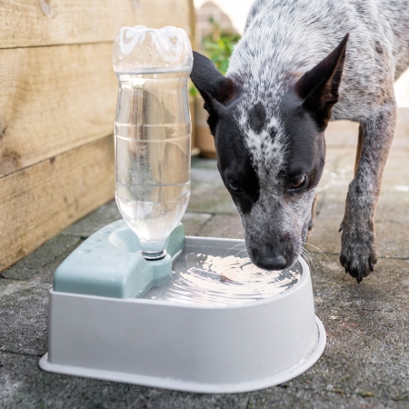 Set up a convenient self-replenishing outdoor water station with the Hoselink Auto-Fill Pet Bowl