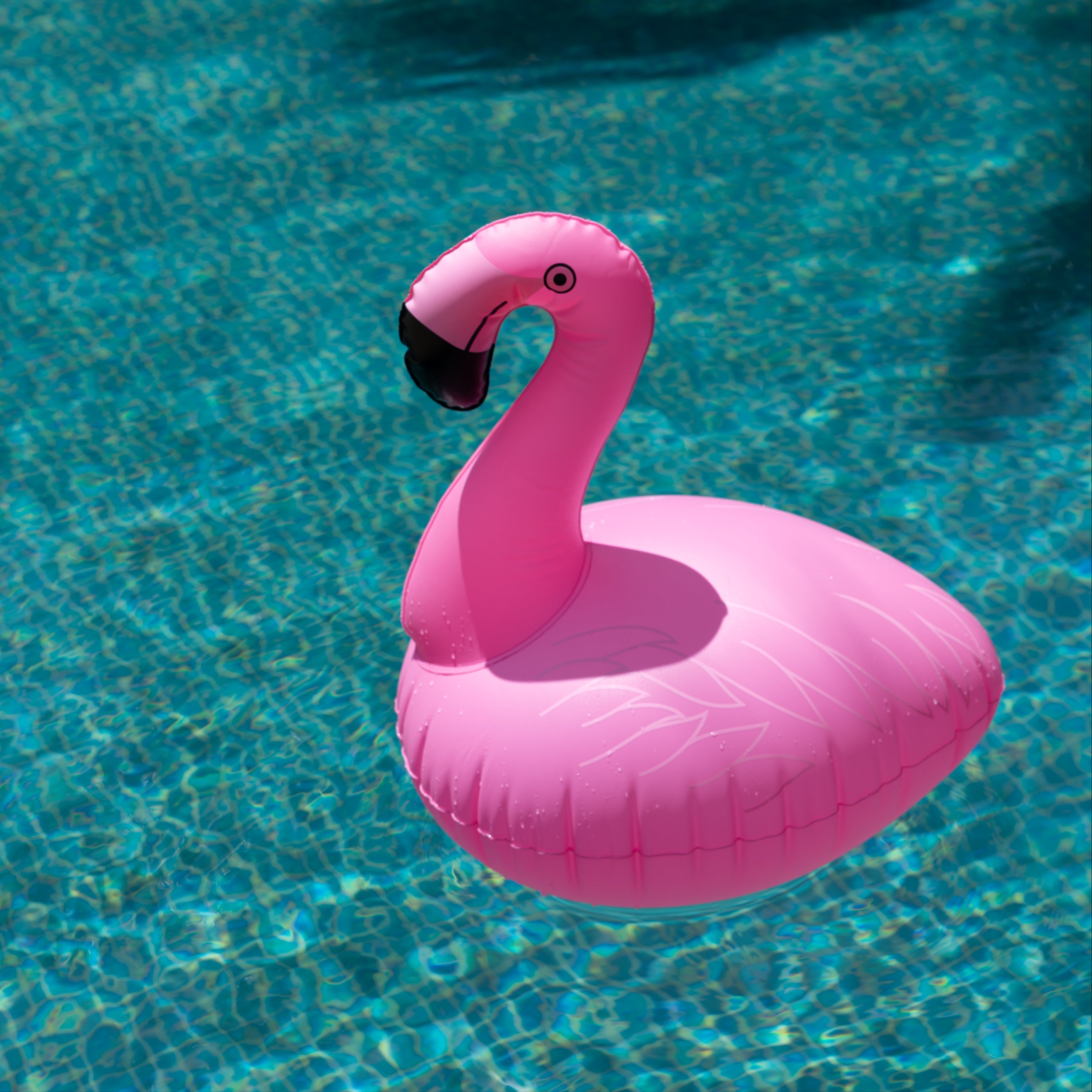 Add playful night-time colour to a pool or outdoor party with the FLAMINGO Solar Inflatable Pool Lights. This two-pack combines an inflatable flamingo design with five LEDs and solar charging