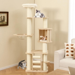 Cat Supplies