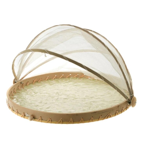 Mesh Food Cover Capiz Green Petal - Food Covers