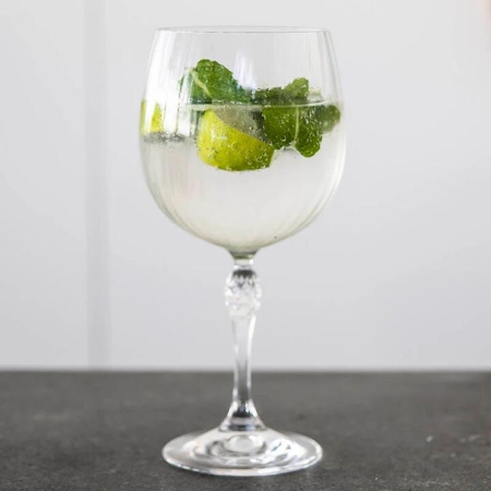 Gin Tonic Glass America's 20 - Tonic Glasses